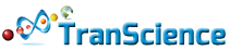 Avada Charity Logo